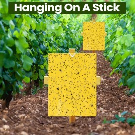 50 Pack Yellow Sticky Pest Traps 25x20cm Fly & Bug Control Garden