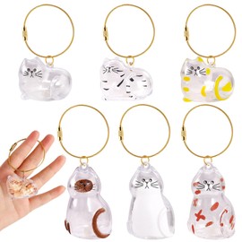Necdeol 6 Stück Cat Hair Keychain, Katzenhaar Schlüsselanhänger, Transparent Acryl Cat Hair Storage Box Pendants, Katzenanhänger Katze Schlüsselanhänger, Pet Haar Erinnerungsbox Zum Tierhaaren