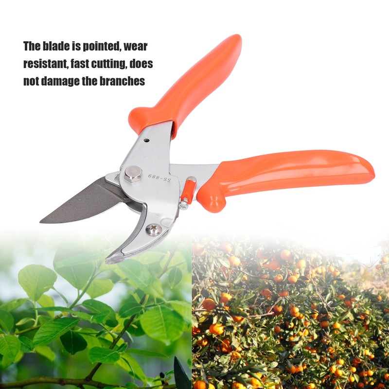 Pruning Shears Carbon Steel Fruit Branch Shears Plant Trimming Scissor