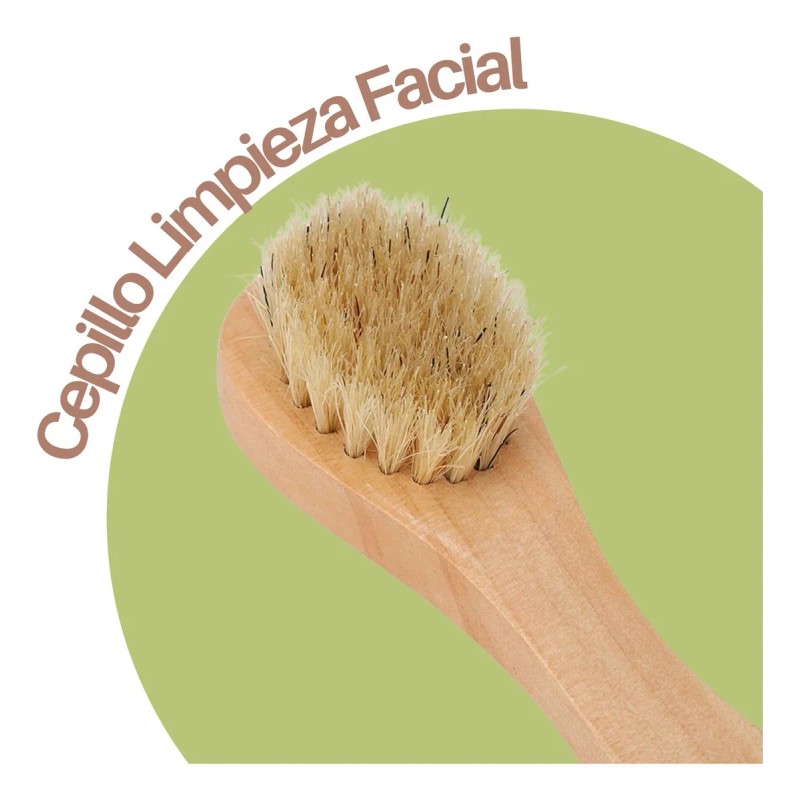 Set Cepillo Corporal Facial Y Esponja Pulpa De Madera Exfo