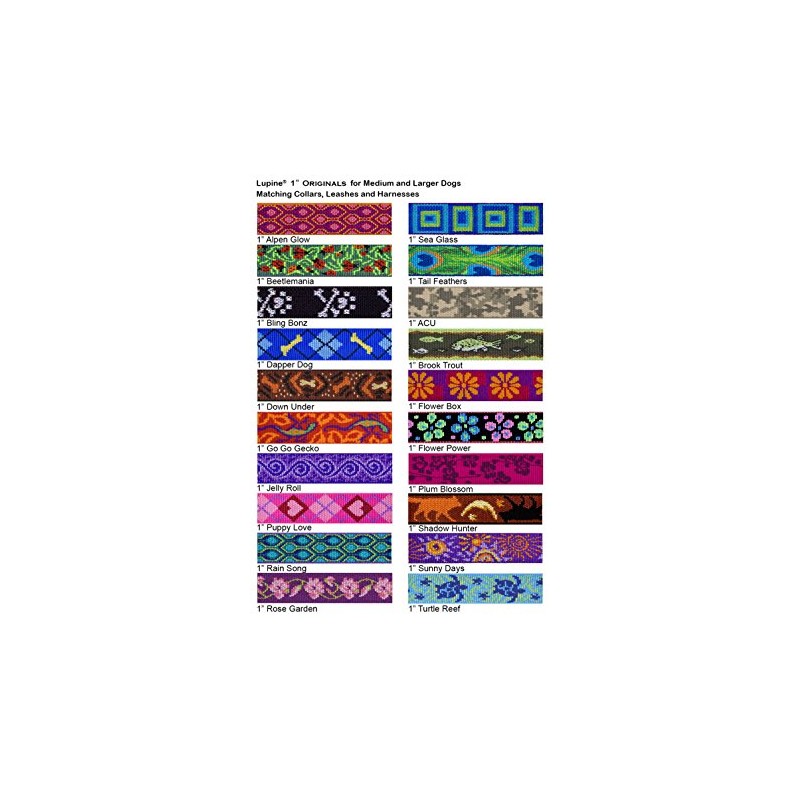 LupinePet Originals 1" Rose Garden 12-20" Adjustable Collar for Medium