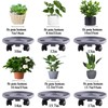 Rolling Plant Stand with Wheels 5 Pack 14 Inch Plant