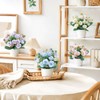 ZYUQFAN Small Fake Plants in Pots, Artificial Plants Indoors with