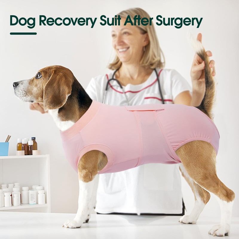 Kuoser Dog Cooling Recovery Suit After Surgery, Recovery Suit for