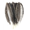 Ergeob Turkey Feather 20 – 30 cm/8 – 12-inch Length