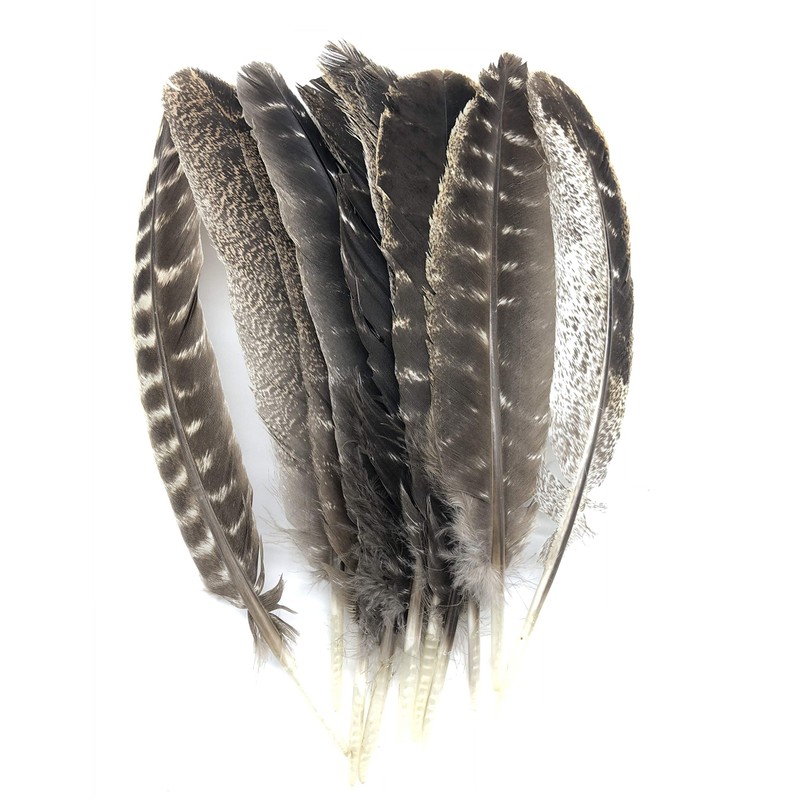 Ergeob Turkey Feather 20 – 30 cm/8 – 12-inch Length