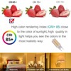KAPATA 4W G8 LED Bulb Dimmable Soft White 2700K Equivalent