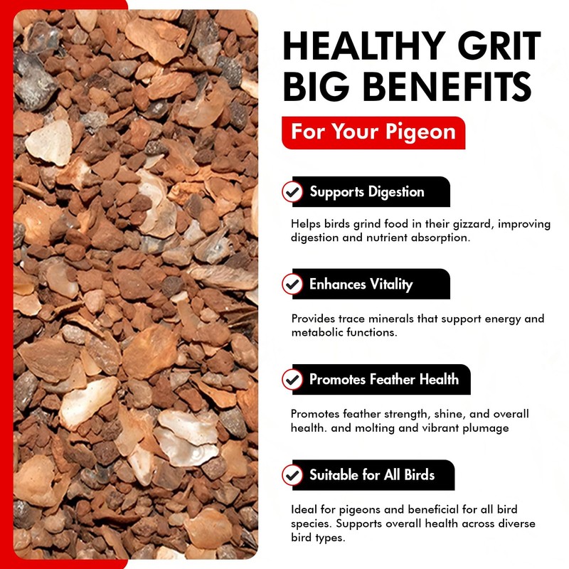 Morning Bird Pigeon Grit - Healthy & Nutritious Bird Food