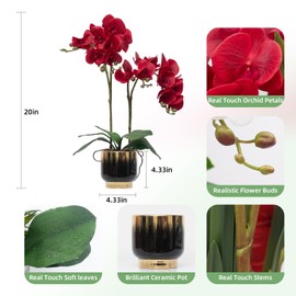 CXGS Orchids Artificial Flowers Real Touch Fake Flowers in Ceramic Pot 20" Red Faux Orchid Plant Lifelike Silk Phalaenopsis for Centerpiece Hotel Home Indoor Decor