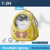 Cute Light up Keychain | Animal in Backpack Key Ring