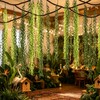 DANHMAO Jungle Theme Decoration Set- 74FT Artificial Hanging Willow Vines