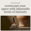 Drift Amber Scented Reed Diffuser - Diffusers for Home -
