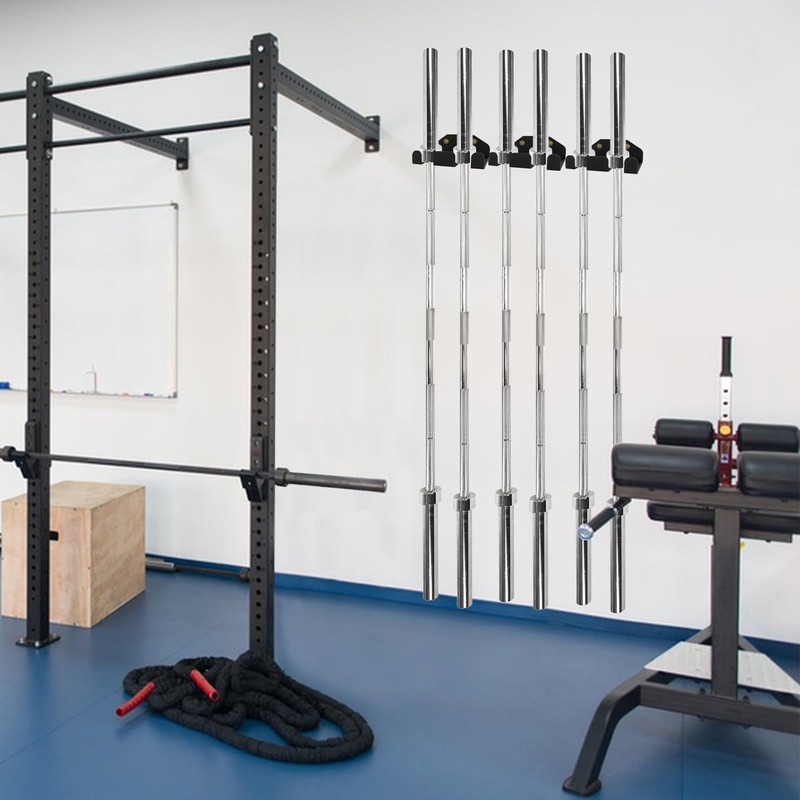 Barbell Storage Double Fitness Dumbbell Bar Vertical Suspension Wall Mount