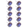 AUTOTOOLHOME 10 Pack Abrasive Flap Wheel Sander 80 Grit 1/8