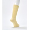 Munsing Wear MGBXJB00 Men's Socks, Classic Crew Length, Antibacterial, Deodorizing,