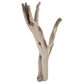 Koyal Wholesale 12” Driftwood Terrarium Decor, Clean California Manzanita Drift Wood Reptile Decor, Driftwood Decor for Home, Desert Reptile Supplies