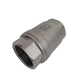 1 INCH Vertical SPRING CHECK VALVE 304 SS NPT Thread
