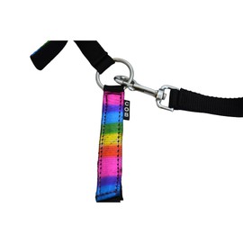 Start RainbowCloth Lined Headcollar for Horses, Adjustable Headcollar in Rainbow Pattern, One Million Colours Available in Pony, Thoroughbred Warmblood (Pony, Multi-Colour)