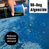 Copper Pool Algaecide for Swimming Pool - 90 Day Algaecide