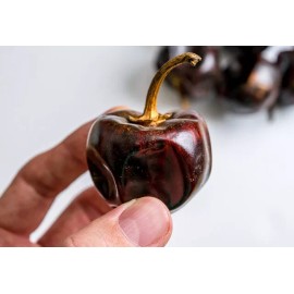 Sunshine Seeds Cascabel Chili Pepper Seeds (15) / MEXICAN CUISINE / ORGANIC / FLORIDA GROWN