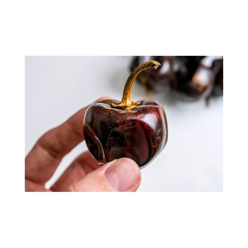 Sunshine Seeds Cascabel Chili Pepper Seeds (15) / MEXICAN CUISINE
