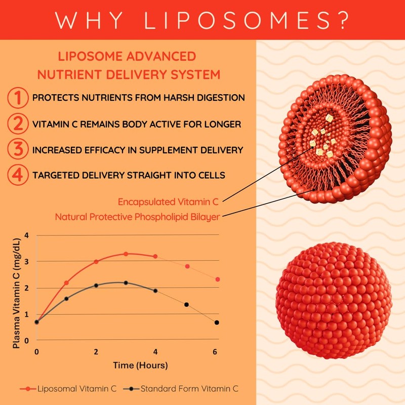WELL ACTUALLY Liposomal Vitamin C 1000mg Sachets - High Bioavailability