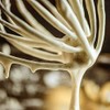 Kitty Professional Professional Whisk "Foam Beater" Compatible with KitchenAid 4.3