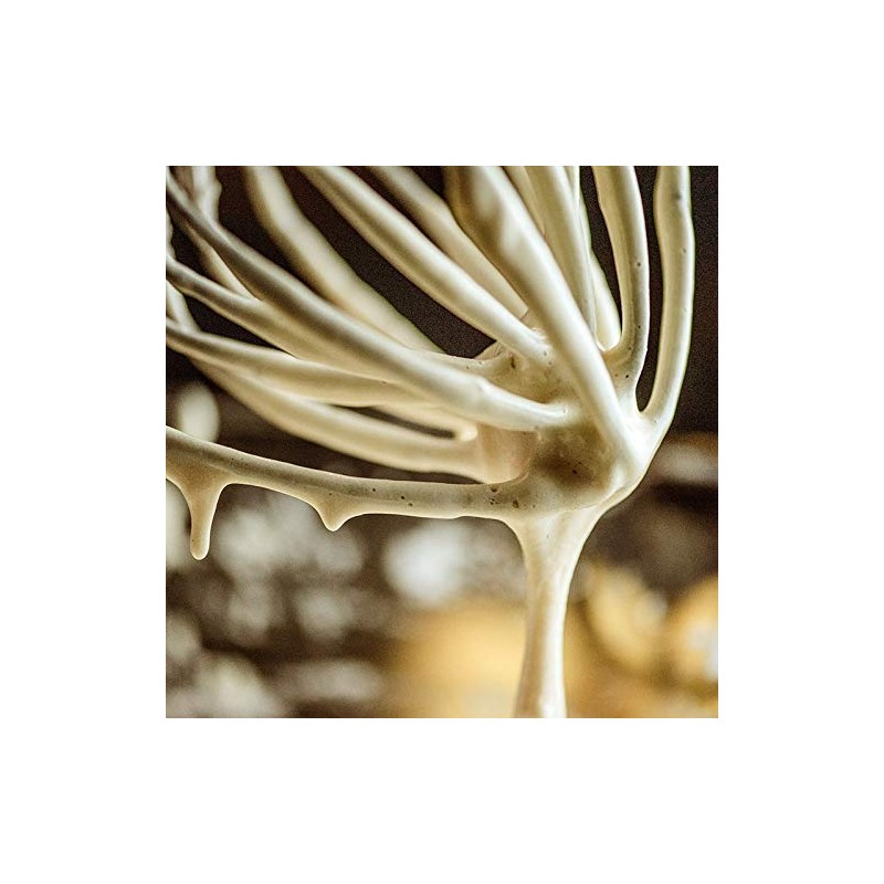Kitty Professional Professional Whisk "Foam Beater" Compatible with KitchenAid 4.3