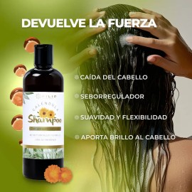 Filip Natural - Shampoo Caléndula, Reparación, 500ml
