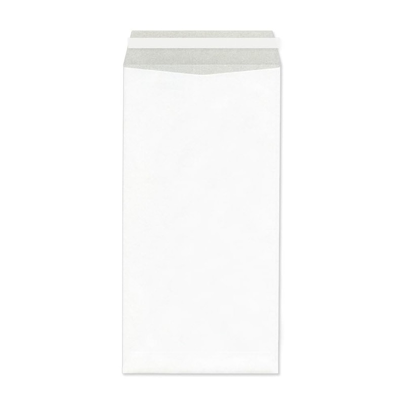 3 Long Envelopes, Pastel White, Non-See-Through, 100 Sheets, Postal Frame