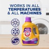 Arm & Hammer Arm & Hammer Plus OxiClean Odor Blasters