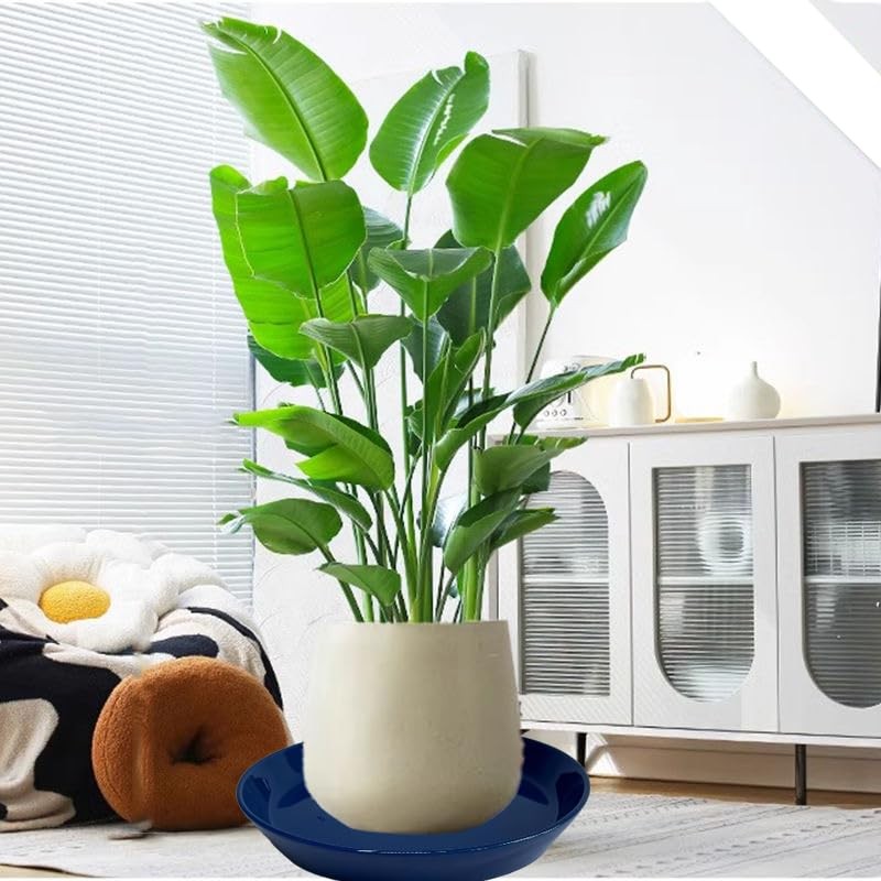 Plant Saucer Blue Ceramic Deep Pot Tray - 1 Pack