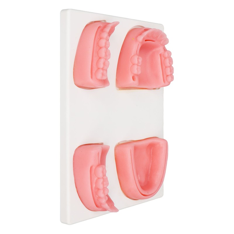 Dental Suture Practice Kit Silicone Model Pliers Tweezers Thread Oral