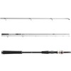 DAIWA Exceler Spin 2.70 m 20-60 g