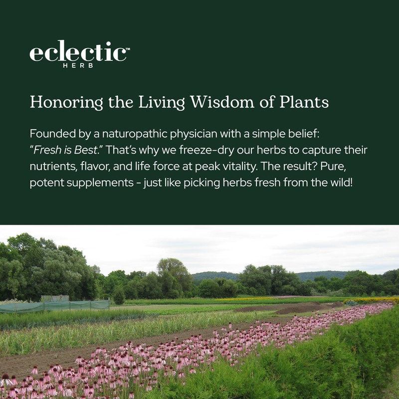 Eclectic Herb - Spinach Powder Supplement | Nutritional Support, Vitamins