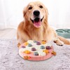 Interactive Pet Treat Dispenser - Slow Feeder, Brain Game, Puzzle,