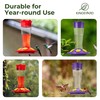 Kingsyard 2 Pack Glass Hummingbird Feeder for Outdoors Hanging -