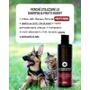 Jojoba Dog Shampoo Red Fruit Concentrate Anti-Allergic Soft and Bright