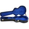 Ibanez AG100C, AG95 & AG75 Hollowbody Guitar Case