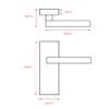 Designer Levers - Berkeley Modern Design Lever Door Handle -