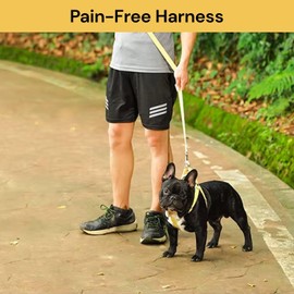 EZONEDEAL Durable Puppy Pet Dog Harness no Pull - Soft Bamboo Fiber Dog Collar Chest Strap for Outdoor Walking Training - Dog Halter Harness,Dog Vest Harness (Medium, Green)