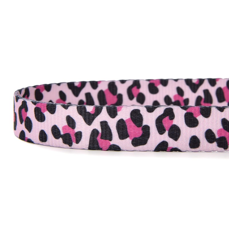 Mile High Life | Dog Collar | Cute Patterns |