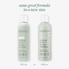EcoTools - Shampoo Limpiador para Brochas y Esponjas de Maquillaje,