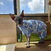 Sphynx Cat Four Leg Cotton Pajamas Elastic Pet Clothes for