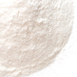 SpiceJungle Vinegar Powder, Apple Cider | Bulk | Spice Jungle - 1 lb.