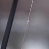 Cortland Ultra Premium Fluorocarbon Tippet 30yd - Top Secret 4X