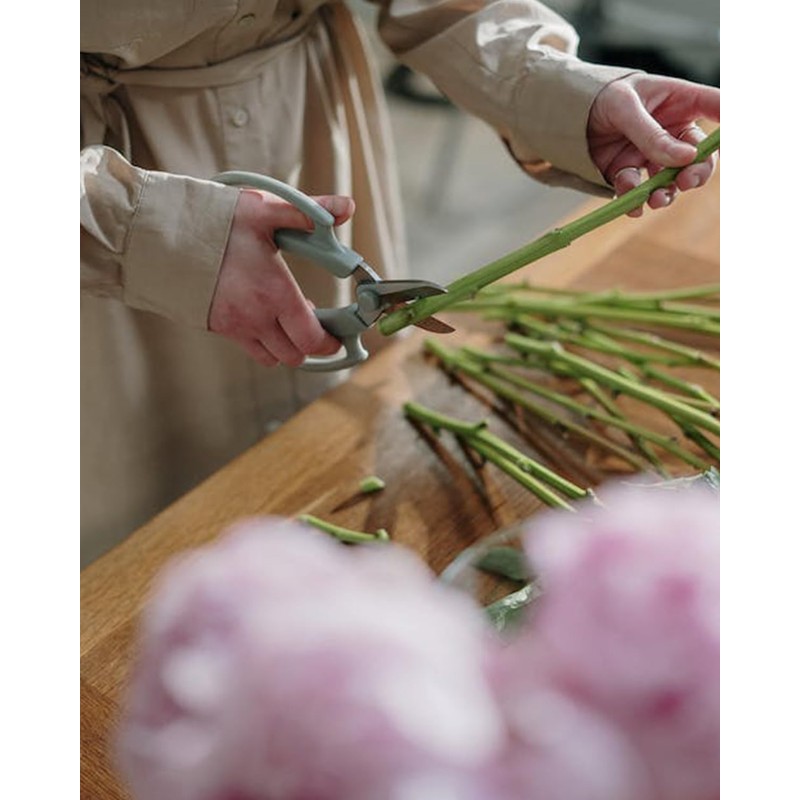 Flower Scissors 12 Pcs - Stainless Steel Floral Scissors, Flower