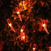 Dreamworth Solar Red Chili String Lights, 50 LED Chili Shape