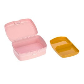 Lässig Children's Lunch Box with Removable Dividers, BPA-Free