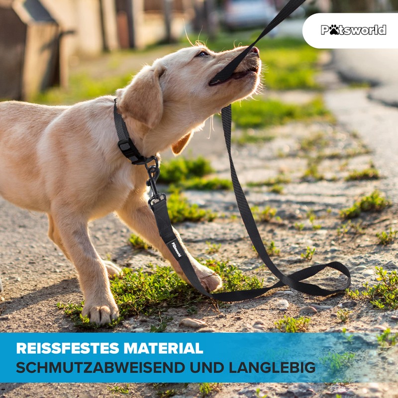 Pätsworld Recall Lead 5 m / 10 m / 15
